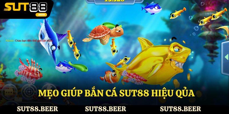 Mẹo giúp bắn cá Sut88 hiệu qủa