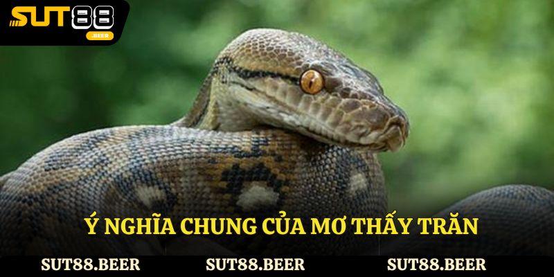 Ý nghĩa chung của mơ thấy trăn